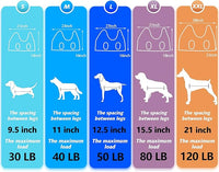 Pet Grooming Hammock for Medium/Large Dogs with Nail Clippers/Nail Trimmers/Grooming Scissors, Dog Grooming Harness for Nail Trimming, Pet Grooming Sling Helper
