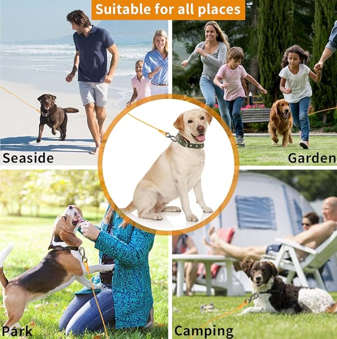 Dog tie Out Cable, 10/20/25/30/50/70/100 feet, Suitable for Dogs up to 350 pounds, Dog Cable with Swivel Buckle, Lightweight, Non-Winding, for Outdoor Camping, Yard Dog Cable (Orange, 50FT)