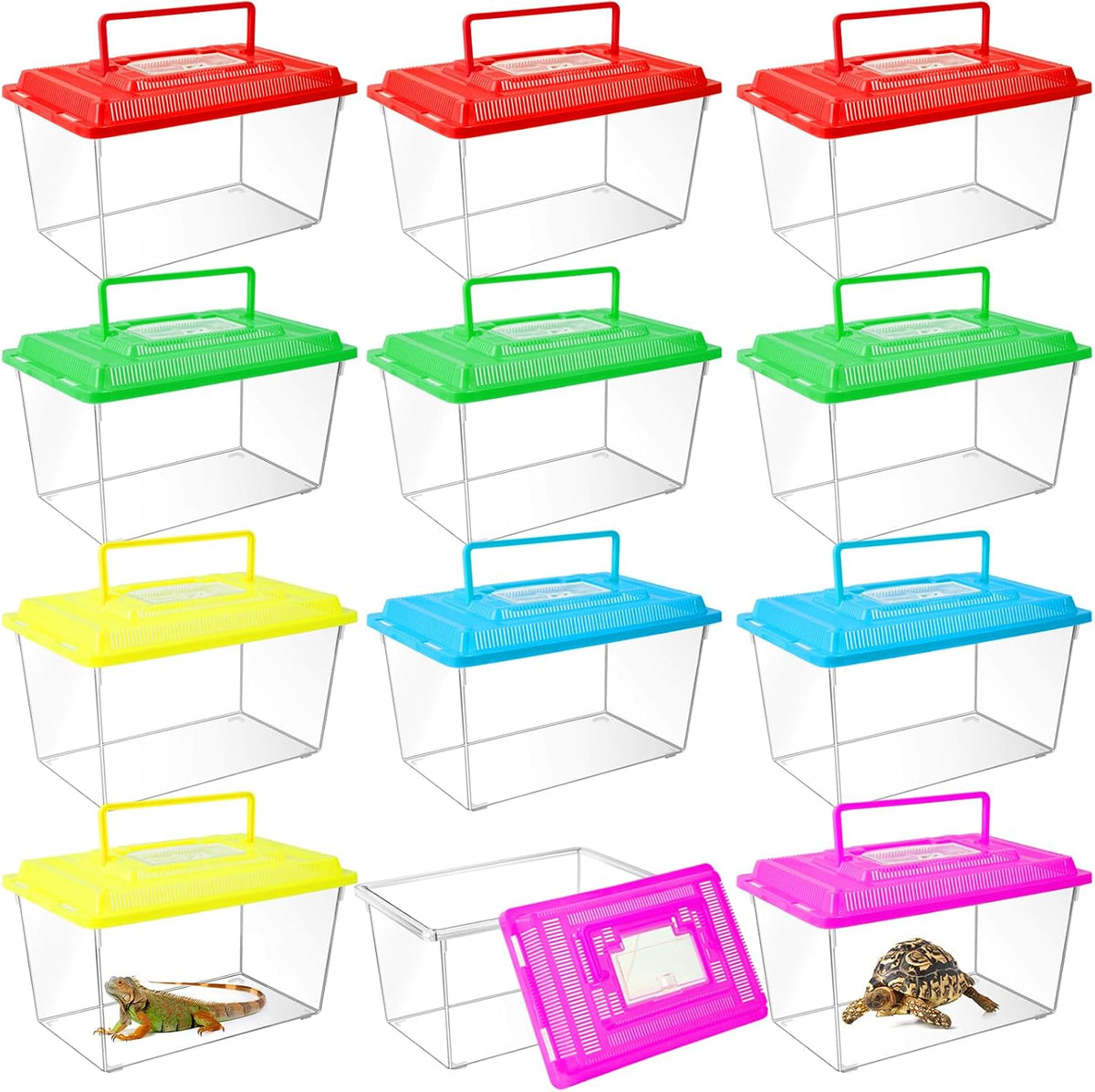 12Pcs Plastic Reptile Terrariums Carrier Cage - XL