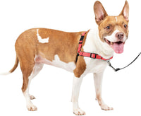 PetSafe Easy Walk Deluxe Dog Harness, No Pull Dog Harness - Medium / Rose Red