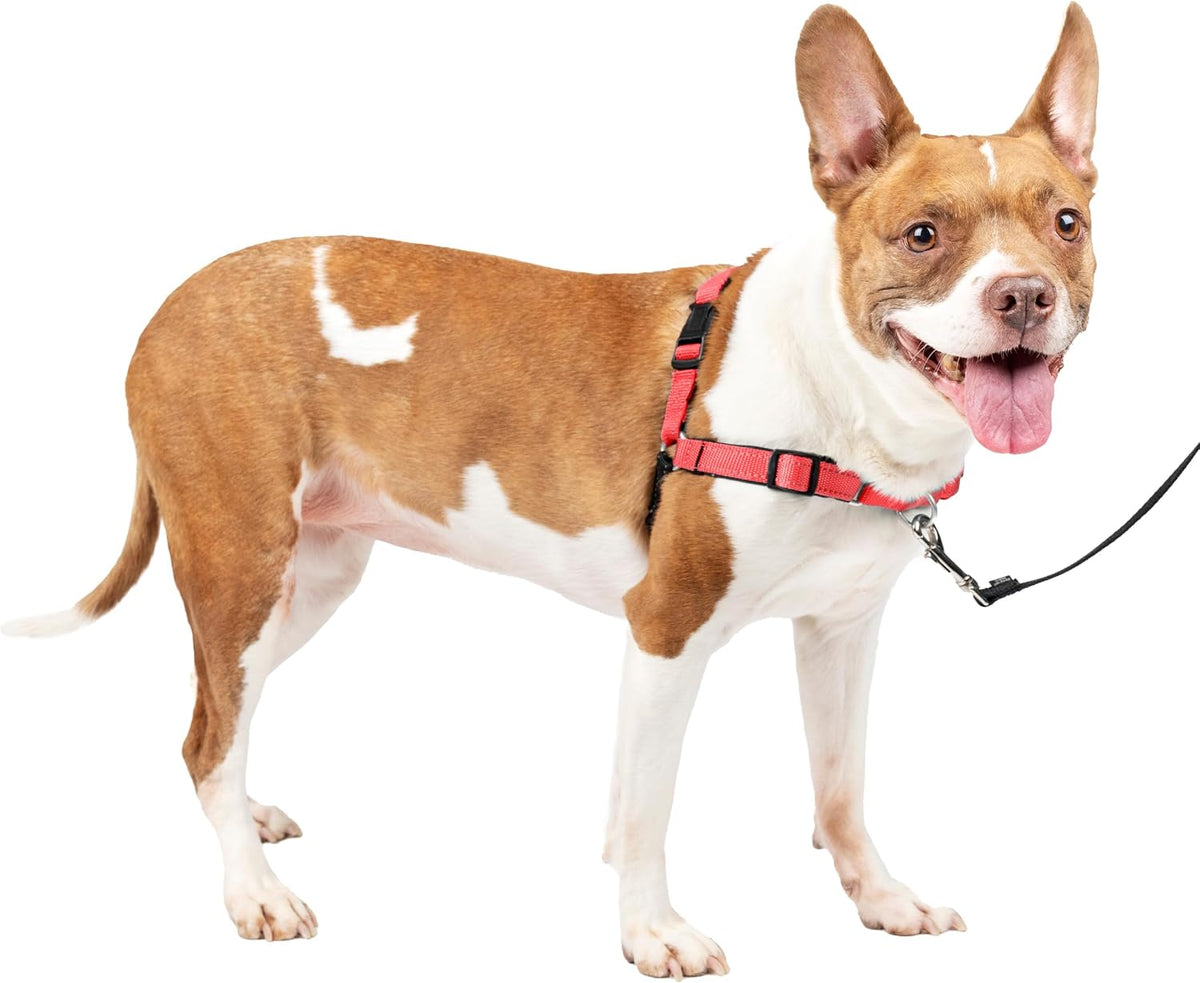 PetSafe Easy Walk Deluxe Dog Harness, No Pull Dog Harness - Medium / Rose Red