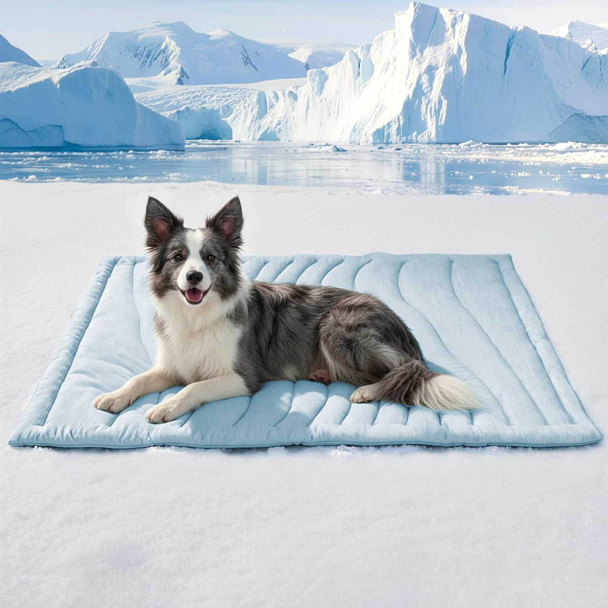 BECEMURU Dog Crate Pad, Cooling Mat for Dogs & Cats - Blue Rectangle / L: 48" L x 28" W x 0.8" TH
