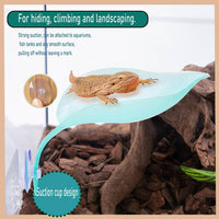 3pcs Crested Gecko Hide，Wall Climbing Gecko Toy，Reptile Leaf，Crested - Light Blue - image 4