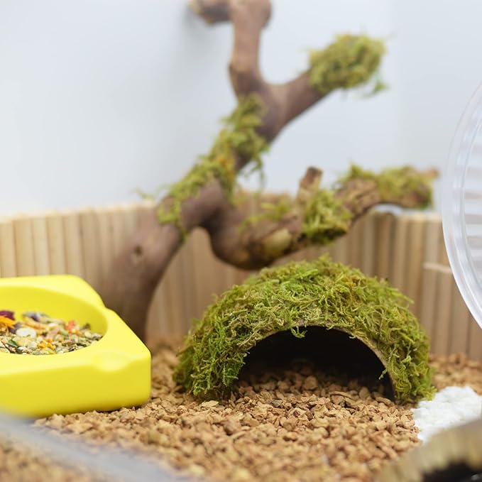 Hamster Hideaway/Hideout,Mossy Cave Hide,Hamster House/Hides,Hamster Cage Accessories for Gguinea Pig/Hedgehogs/Gliders/Rats/Mice and Other Small Animals (Small)
