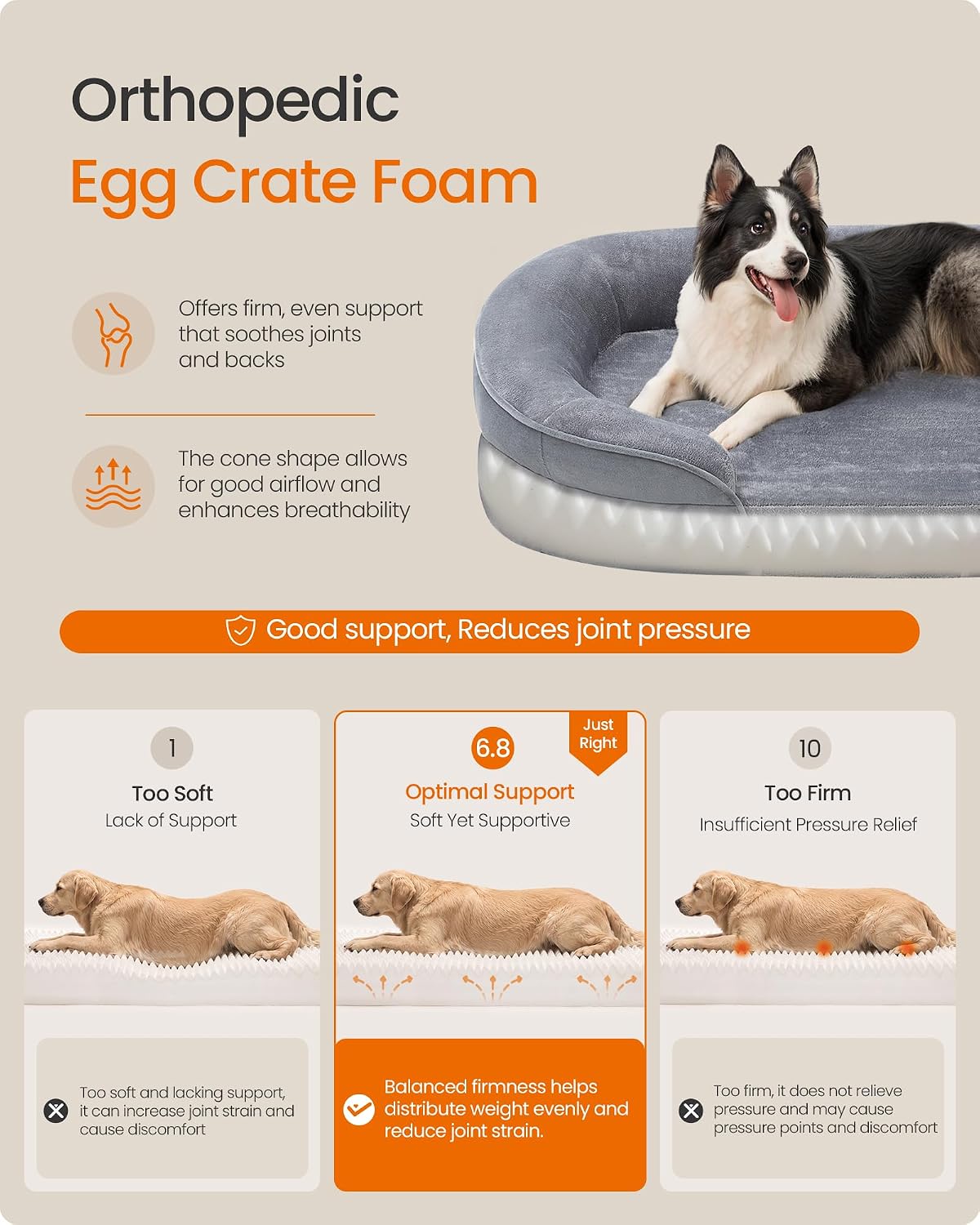 Feandrea Orthopedic Dog Bed - image 3