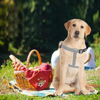 PUPTECK No Pull Dog Harness Soft Adjustable Basic Nylon Step in Puppy Vest Outdoor Walking with ID Tag, Grey, L