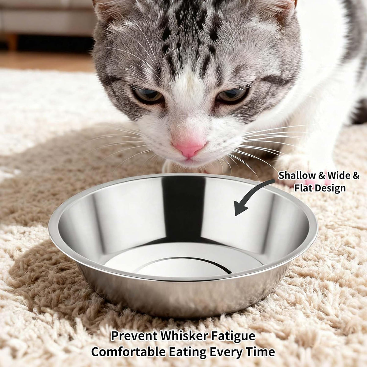 Tifanso 6PCS 5.6" Stainless Steel Whisker Friendly Cat Food & Water - image 4