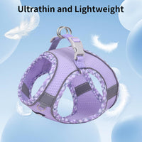 Breathable Dog Harness Small Sized and Leash Set - Purple / XXXS(Chest: 8.5 - 10") - image 2