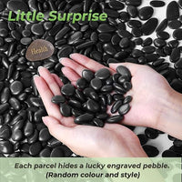 SIDONG 10 LB Black River Rocks, 0.3-0.5 Inches High Polished Pebbles for Indoor Plants, Aquarium Rocks Used in Fish Tank, Decorative Stones for Plants, Vases, Home Décor, Crafting, Garden Landscaping