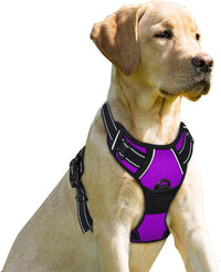 BARKBAY Dog Harness No Pull for Large Dogs Front Back Clips - X-Large(Chest:30-38”) / Purple