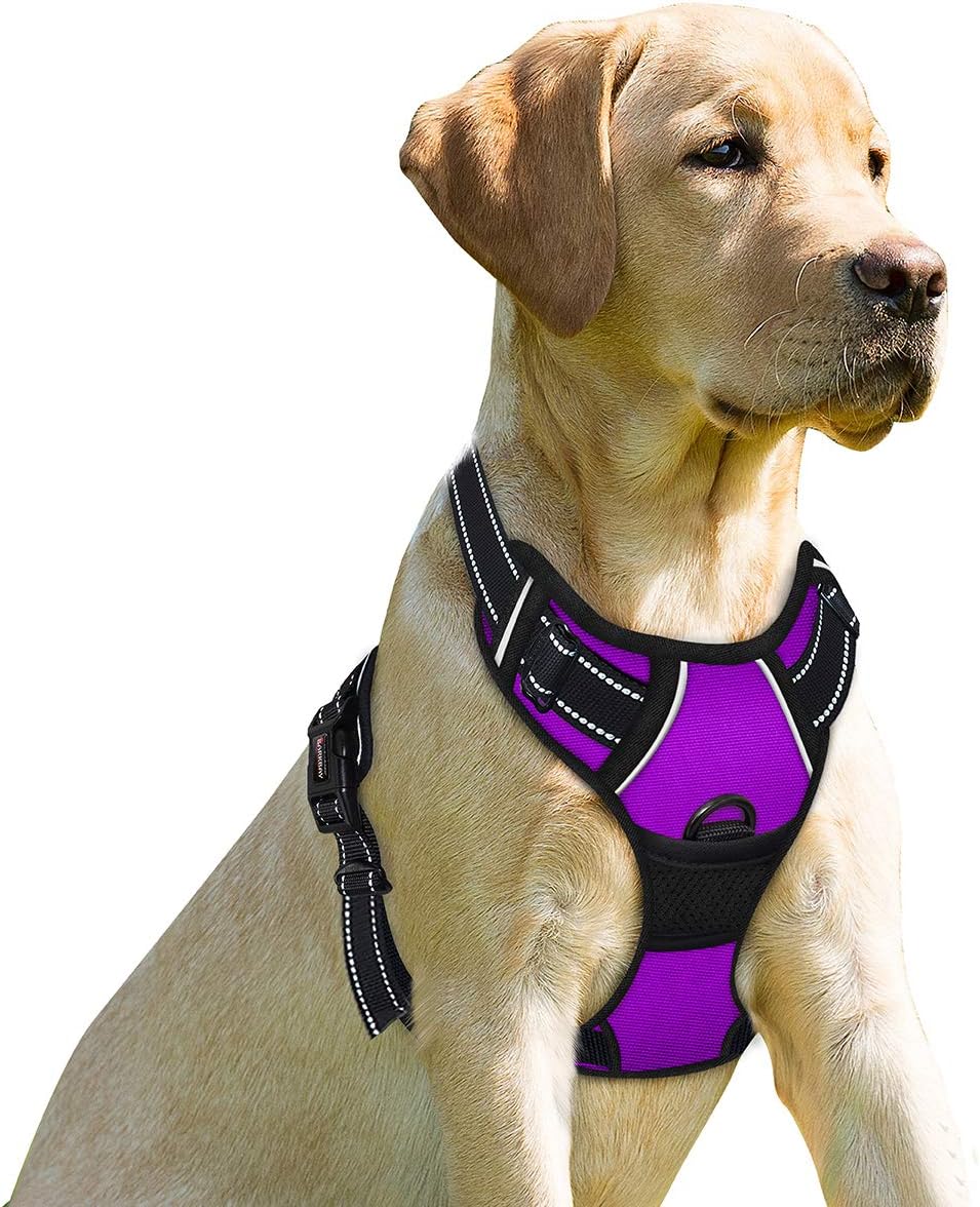 BARKBAY Dog Harness No Pull for Large Dogs Front Back Clips - X-Large(Chest:30-38”) / Purple