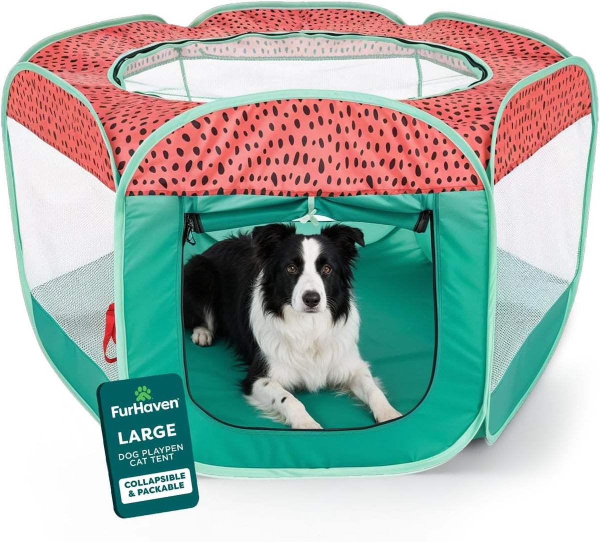 FurHaven Soft-Sided Dog & Cat Playpen - Green & Pink / Large