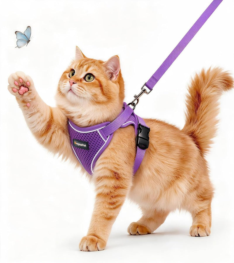 Cat Harness and Leash for Walking - Purple / M (13-18lb)