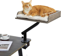 PAWZ Road Cat Desk Bed 360°Rotating Supports to 50 Lbs Cozy Nest - Gray / Wooden