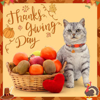 Breakaway Cat Collars with Bell - Fall/Thanksgiving - image 2
