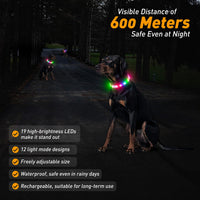 2 Packs Light Up Dog Collar - Yellow - image 2
