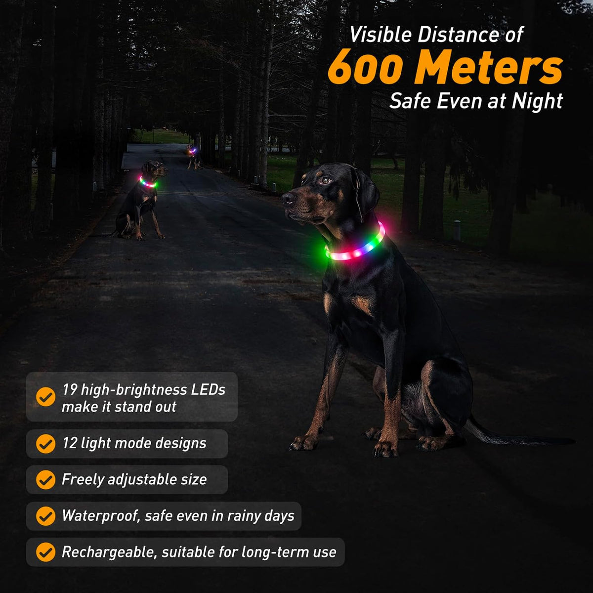2 Packs Light Up Dog Collar - Yellow - image 2