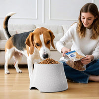 Elevated Dog Bowls with Stainless Steel Bowl - White-Crackle / S/1 Cup - image 3