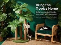 LEMONDA 31.5Inch Palm Tree Cat Scratching Post – Essentials for Cats - Banana Tree - image 4
