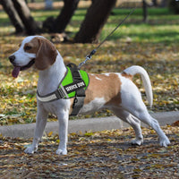JSXD Dog Harness,No-Pull Service Dog Harness with Handle Adjustable Outdoor Pet Dog Vest 3M - XS / Green - image 4