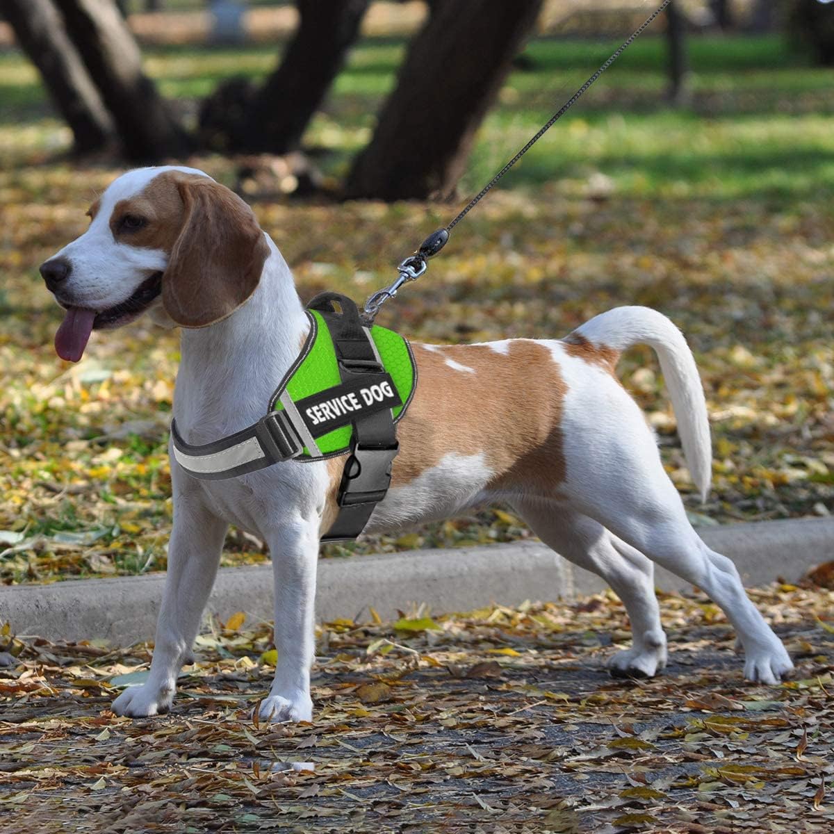 JSXD Dog Harness,No-Pull Service Dog Harness with Handle Adjustable Outdoor Pet Dog Vest 3M - XS / Green - image 4