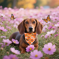 Dog Bandanas 1PC Washable Cotton Triangle Dog Scarfs for Small Medium - Large / Bee Daisy - image 4