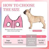 PatiencET Dog Grooming Hammock, Pet Grooming Hammock for Cats & Dogs with Security Strap, Dog Sling for Nail Trimming with Nail Clippers/Trimmer, Nail File, Pet Comb(Pink S)