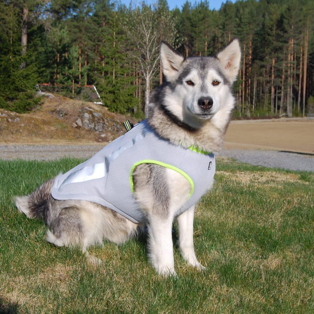 SGODA Dog Cooling Vest Harness Cooler Jacket Grey Green Large – Essentials for Dogs - Medium Chest 20.5-24" / grey with orange - image 4