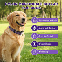 Martingale Collar for Dogs, Reflective Escape Proof, M - Purple / Medium - image 4