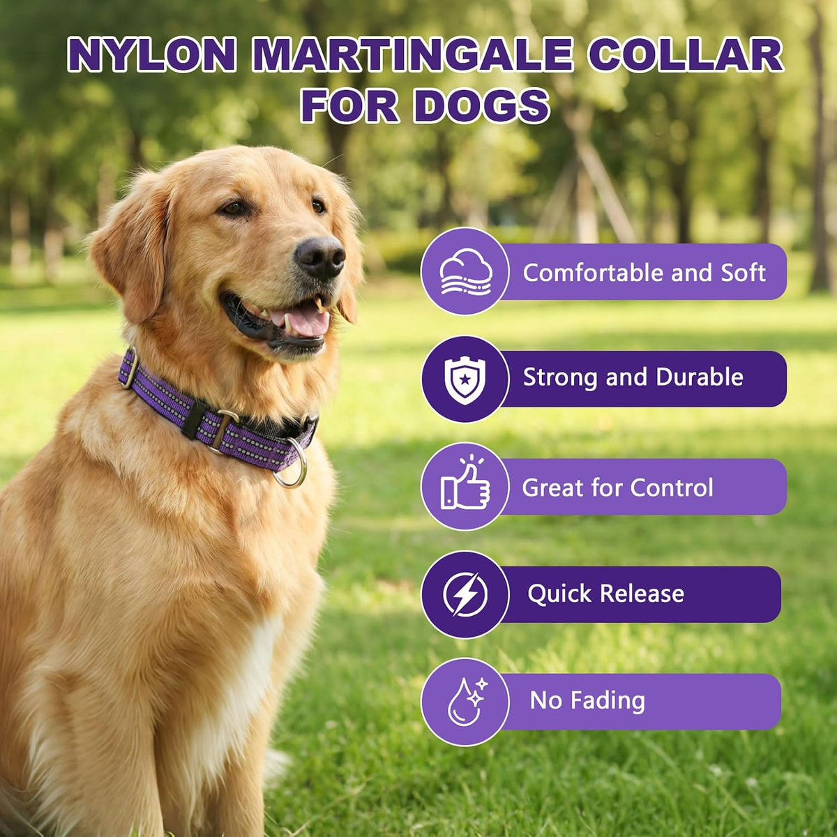 Martingale Collar for Dogs, Reflective Escape Proof, M - Purple / Medium - image 4