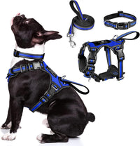 WINSEE Pet Harness Collar and Leash Set - Medium / Dark Blue