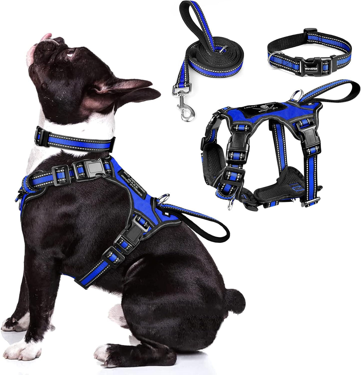WINSEE Pet Harness Collar and Leash Set - Medium / Dark Blue