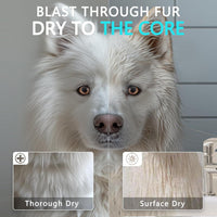 High Velocity Dog Hair Dryer, Pet Dryers - Black - image 3
