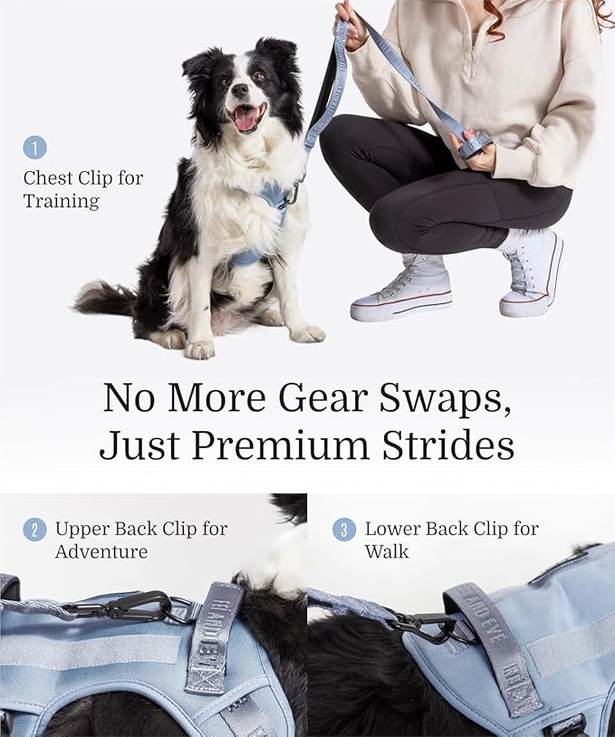 2025 New Edition, Fei & Eve MagEase Dog Harness - 3-Second Magnetic Buckles | 3-Point No-Pull Control | Heavy-Duty 900D Nylon | Dual Safety Handles | Breathable Mesh | Adjustable Fit |Small, Blue