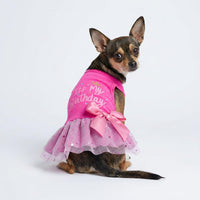 Fitwarm Halloween Skeleton Dog Dress - Large / It's My Birthday - image 3