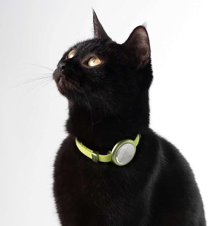 Safety Cat Collar Pro, Lightweight Elastic Release Non Breakaway Cat Collar Adjustable with Snap Fastener for Kitten All Small Large Cats, US IDA Gold Award (Alpine Green, S 5.9-11.8")