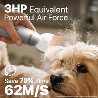 Buenkee Handheld Dog Dryer, 3HP High-Velocity Pet Hair Blower - White - image 3