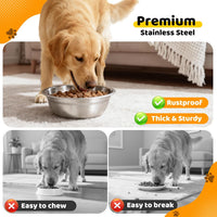 URPOWER 4 Pack 8" Stainless Steel Dog Bowls - 2 Pack - image 3