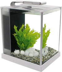 Fluval SPEC Aquarium Kit – Essentials for Fish - 2.6 Gal. / White
