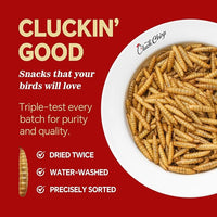 Dried Black Soldier Fly Larvae, Non-GMO, Natural Chicken Treats & High-Protein Poultry Snacks for Backyard Chickens, Laying Hens & Ducks, 5 lb Box