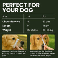 Stainless Steel Wire Basket Dog Muzzle for Husky – Essentials for Dogs - Stainless Steel / Belgian Malinois & Golden Retriever - image 2