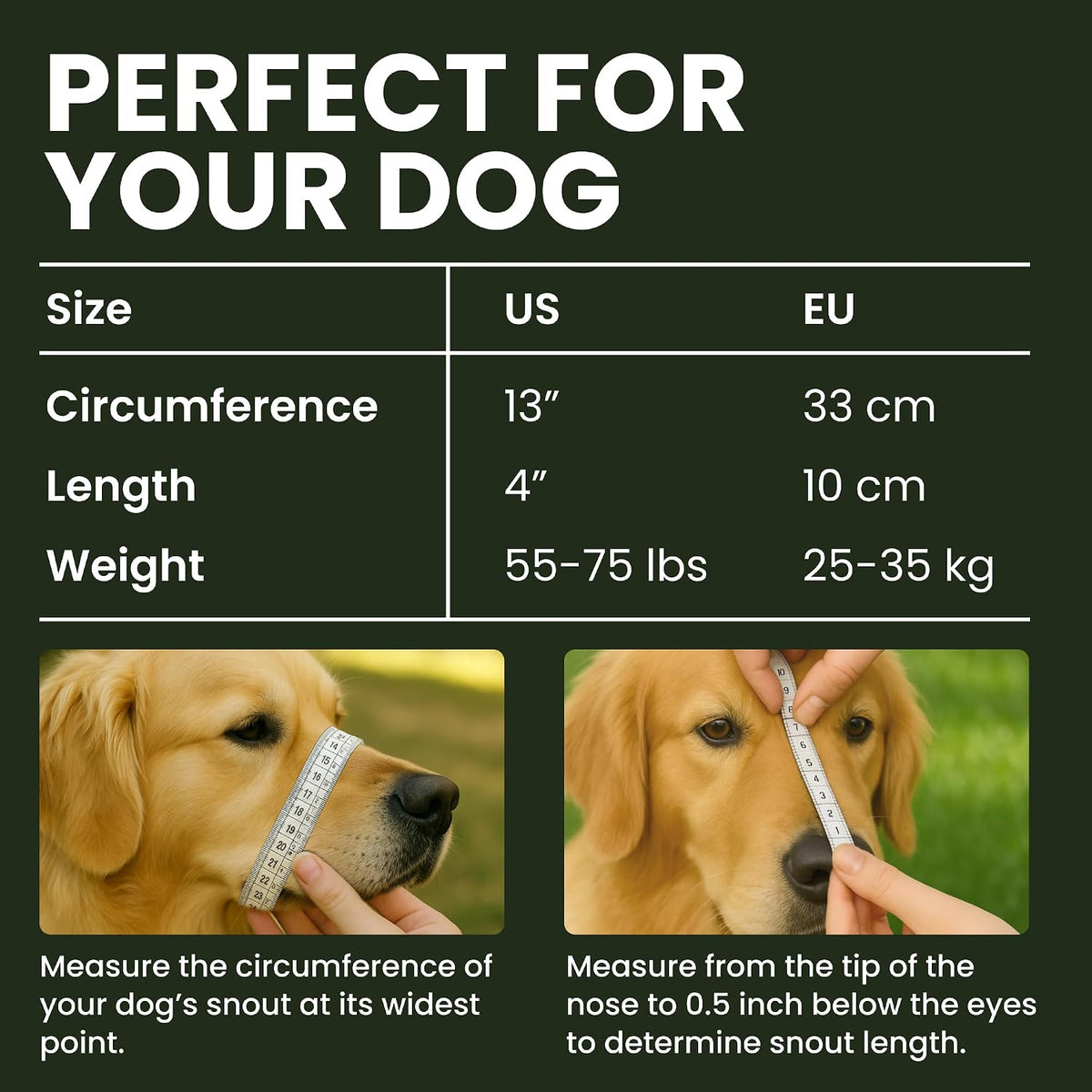 Stainless Steel Wire Basket Dog Muzzle for Husky – Essentials for Dogs - Stainless Steel / Belgian Malinois & Golden Retriever - image 2