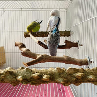 Allazone 5 PCS Natural Wooden Parrot Stand Bird Perch Stand Grape Stick Hanging Multi Branch Perch for Parrots, Bird Cage Accessories