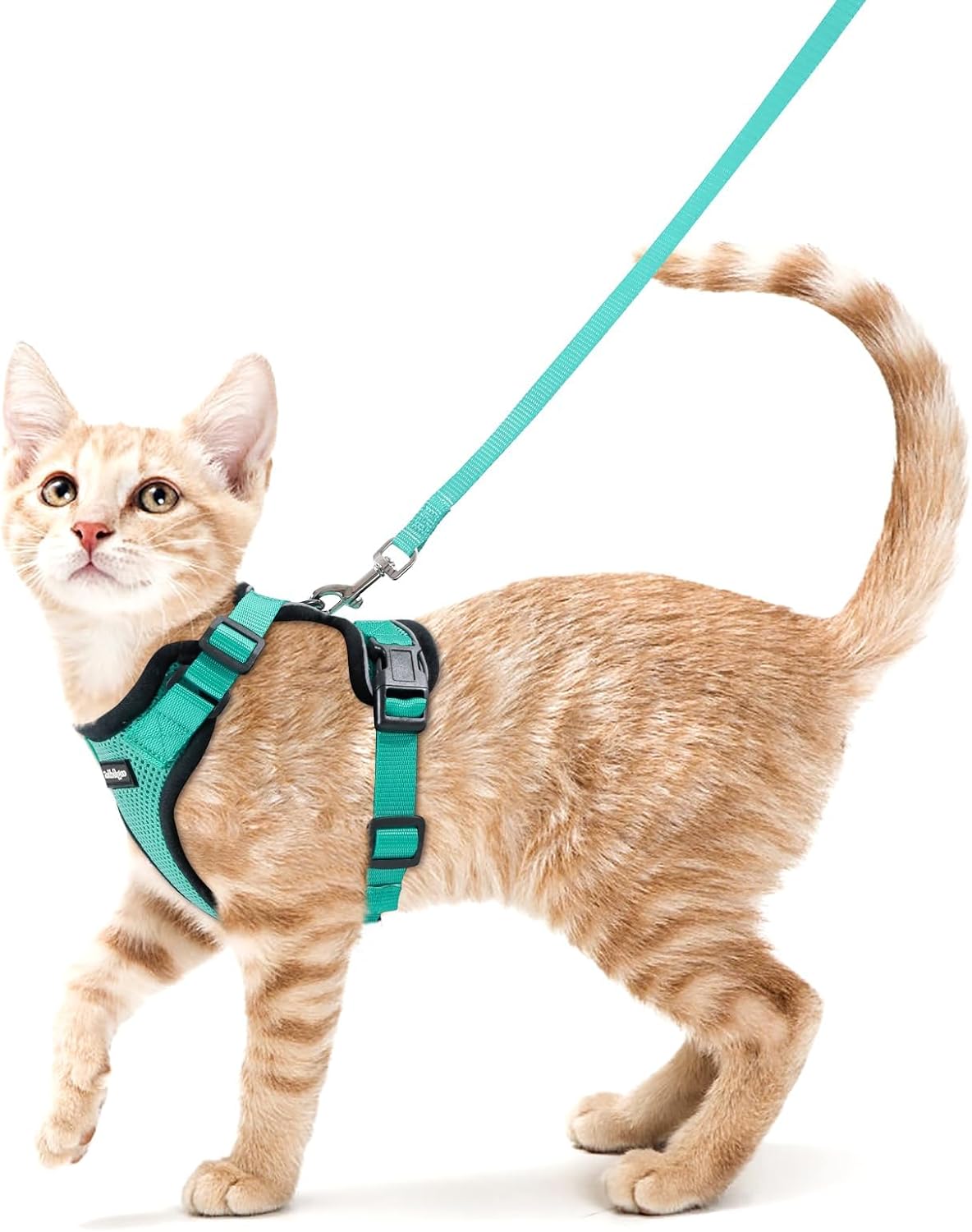 rabbitgoo Cat Harness and Leash Set, Escape Proof Vest - S / Emerald