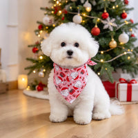 PUPTECK Dog Cooling Bandanas 4pcs Outfit - Red/Green/White / X-Large (29"x20"x20") - image 4
