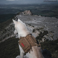 OneTigris Dog Backpack for Medium & Large Dogs, Nylon Backpack for Dogs Tactical Pet Backpack with Side Pockets for Hiking Walking Training Running (Brown, Large)