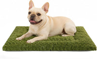 Exsnugy Washable Dog Bed Mat Medium Size Fluffy Pet Crate Pad 36x23 – Essentials for Dogs - Green / 30.00" x 19.00" x 1.50"
