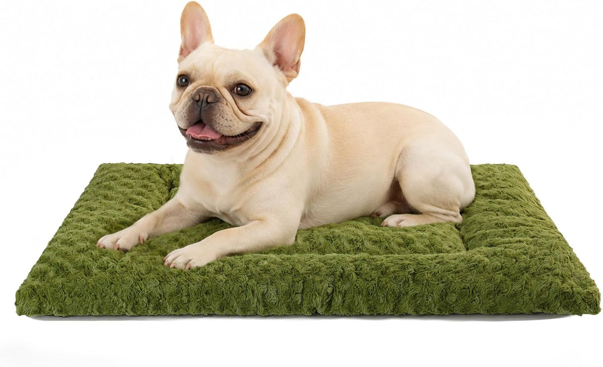 Exsnugy Washable Dog Bed Mat Medium Size Fluffy Pet Crate Pad 36x23 – Essentials for Dogs - Green / 30.00" x 19.00" x 1.50"