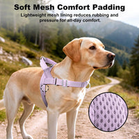 No Pull Dog Harness with Handle - Purple / L - image 4