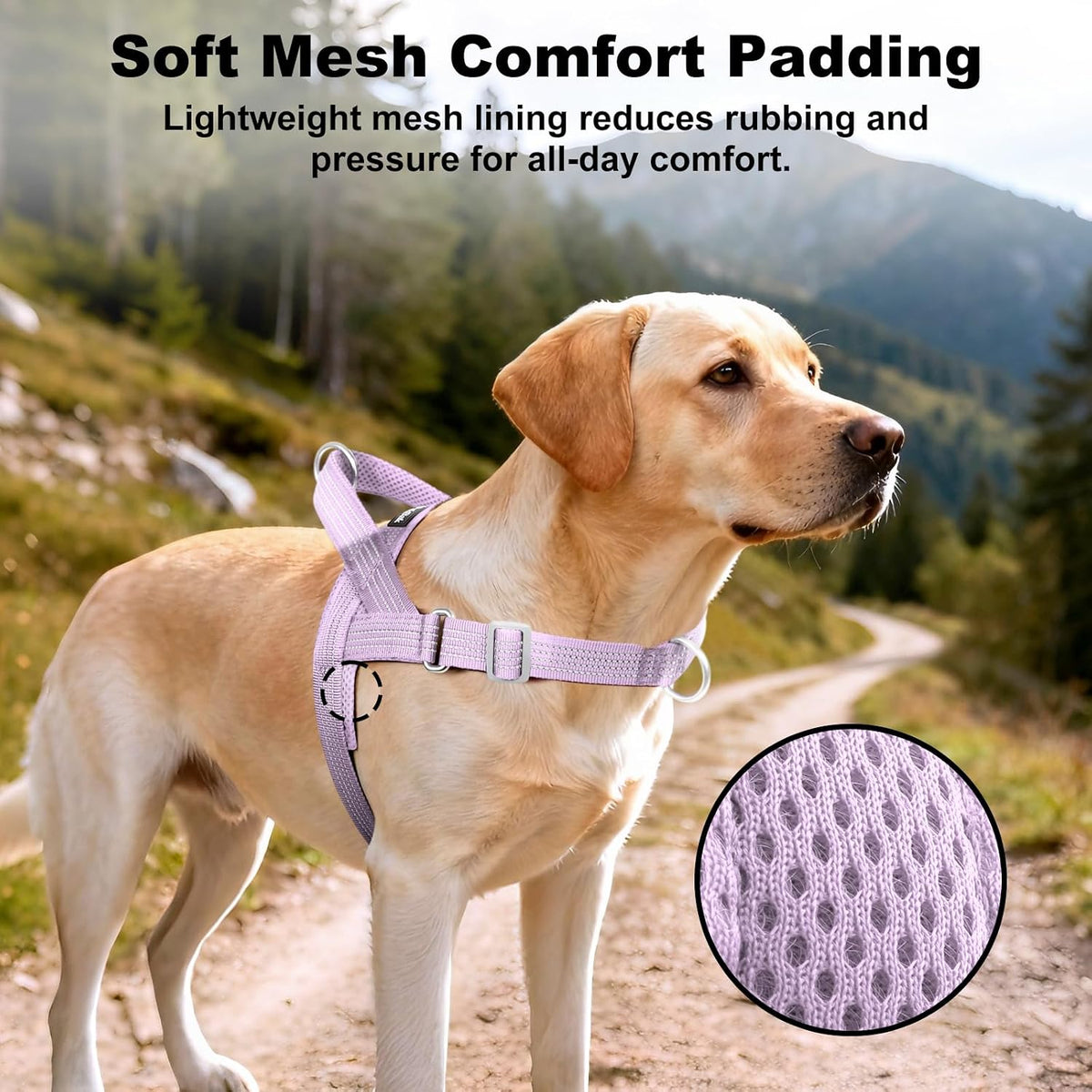 No Pull Dog Harness with Handle - Purple / L - image 4